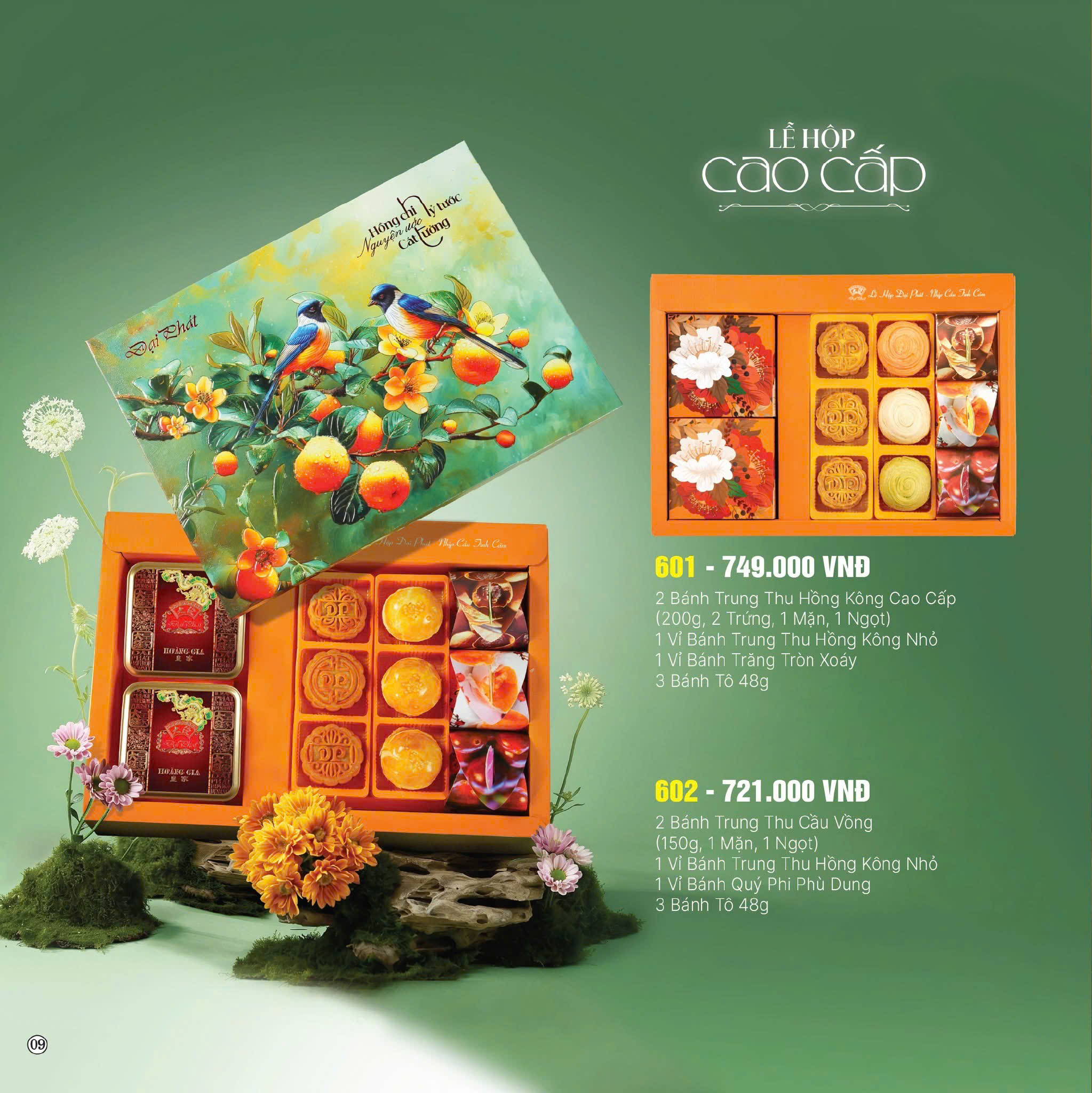 Le Hop Cao Cap 601 (749.000 VND) & 602 (721.000 VND)